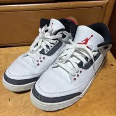 Nike Air Jordan 3 Retro SE-T CO JP
