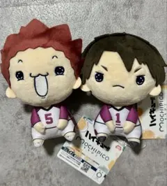 ③ 天童覚 牛島若利 もちぴこ ぬいぐるみ 2つセット ハイキュー