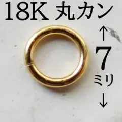 Item thumbnail for item 7b227a71-8b98-455d-a250-dbb2c8ea9f38