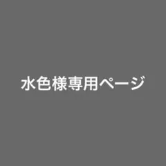 水色様専用ページ アクリルキーホルダー