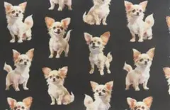 ふわ♡ふわ様 リクエスト 2点 まとめ商品