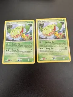 Carnivine マスキッパ 2枚セットのサムネイル