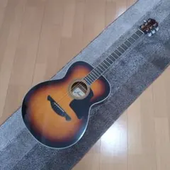 James JF400 アコースティックギターのサムネイル
