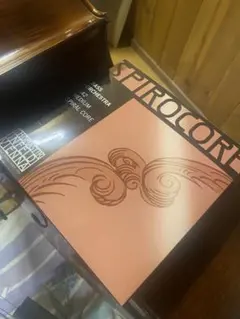 Item thumbnail for item 60d8e620-f95d-4d1f-a851-71a5a378ca28