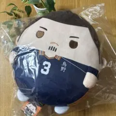 ハイキュー!! ふわコロりんBIG3 東峰旭