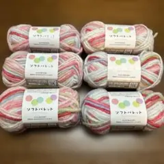 【新品未使用】ごしょう産業 ソフトパレット グラデーション毛糸 6個セット