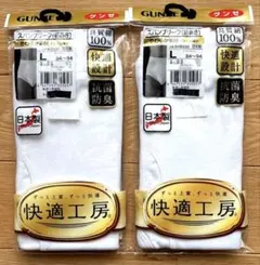 グンゼ　スパンブリーフ（前開き）　メンズ　Lサイズ ２枚セット