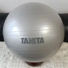 TANITA バランスボール シルバー