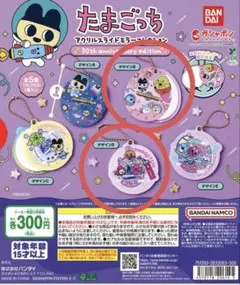 たまごっち　アクリルスライドミラーコレクション　デザインBとD ２点セット