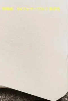 特殊紙　OKフェザーワルツ 象牙色