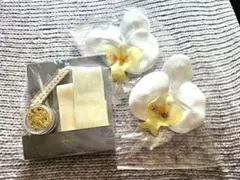 Item thumbnail for item 42ddd30c-4e50-4f4c-9a58-fbd58e7e02d7