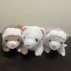 2025年最新】フェレ ぬいぐるみの人気アイテム - メルカリ