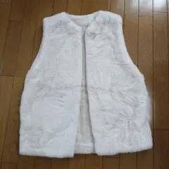 エコファーベスト ベスト