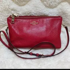 Item thumbnail for item e1f4ad25-a6f4-46f0-bde7-bee0978ba8d6