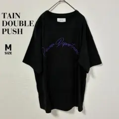 TAIN DOUBLE PUSH Tシャツ 刺繍 タインダブルプッシュ