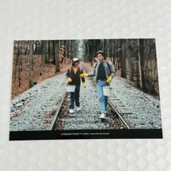 ストレンジャーシングス ブロマイドコレクション スティーブ ダスティン