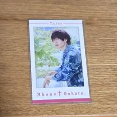 となりの坂田 ミニフォトカード チェキ 2025 nurse