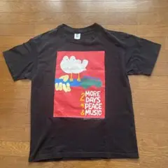 XL WOODSTOCK ウッドストック 袖裾シングル 古着Tシャツ E3E5042E-ADAA-428F-AD7D-