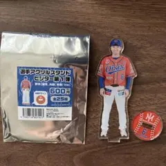 オイシックス新潟アルビレックスbc　ビジユニ　アクスタ　永澤蓮士