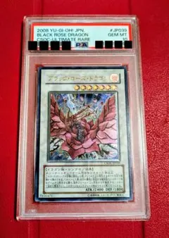 2026年最新】ブラックローズドラゴン レリーフ psaの人気アイテム