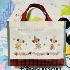 ディズニー⭐️クリスマス リルリンリン チョコレートバー ショッピングバッグ