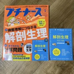 Item thumbnail for item 1451b54d-2234-4123-b90e-19a7b64384d4