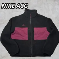 【美品】NIKE ACG MICROFLEECE JACK フリース メンズ S