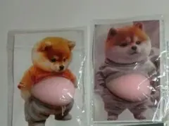 おしり　シール　シリコン　ぷくぷく　ぷにぷに　柴犬　コーギー　マシュマロシール