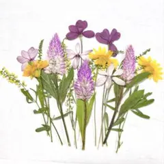 キャリー様 リクエスト 4点 まとめ商品