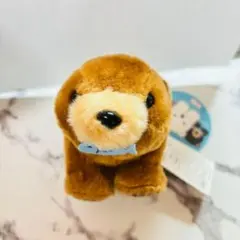 まるくまポーラ　ぐりずりん マスコット　タグ付き　日本 キャラクター グリズリーのサムネイル