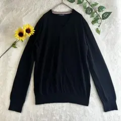 ナノユニバース レディース Vネック トップス コットン100% Lサイズ