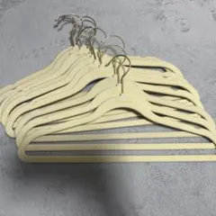 Herlipto ハンガー 10本セット