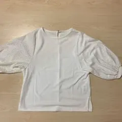 レディースTシャツのサムネイル
