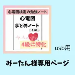 みーたん様専用ページ