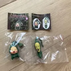 こびとづかん おすわりマスコット 3 クサマダラオオコビト　マモリコモリ