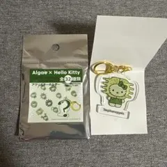 大阪関西万博2025 日本館 藻キティ キーホルダー【クシダンゴケイソウ】