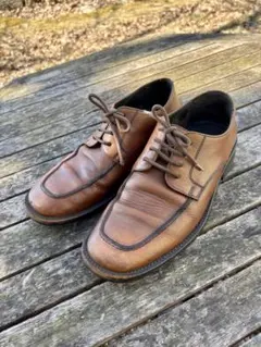 Item thumbnail for item 3d63254e-4011-4d1c-9ba9-0e049aa32a47