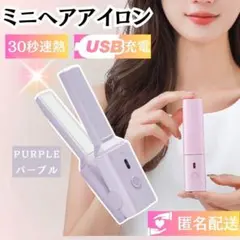 ヘアアイロン　ストレート カール 2way ミニ 絹女 小型 USB 紫パープル