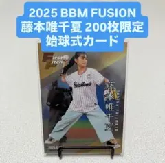 Item thumbnail for item 37242d72-61a8-4d68-a1c4-8afdf7f85ae7