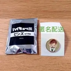 ハイキュー!! ピンズ 二口堅治