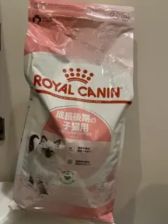 Item thumbnail for item 967ce2d6-3c9b-49d6-b95c-c19ae59a0a23