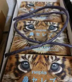 Item thumbnail for item 950843df-9523-497c-9f4c-366c4388dffc