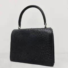 美品✨オーストリッチ ハンドバッグ エキゾチックレザー 駝鳥 黒 フォーマル