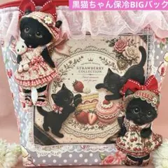コヤンイサムチョン 猫ちゃんビッグポーチ - メルカリ
