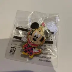 ディズニー　ディズニーシー　Disney ゲーム　景品　非売品　ピンバッジ