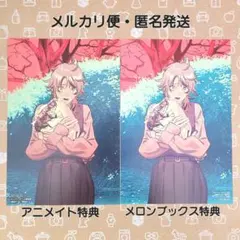 チェンソーマン イラストカード 2枚 アニメイト メロンブックス 匿名発送