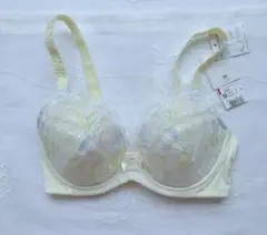 D65★百貨店限定商品・ワコール　ルアノーレ　マタニティ　産前産後兼用ブラジャーのサムネイル