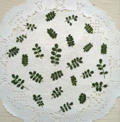 μ 〈 ミュー 〉様 リクエスト 2点 まとめ商品