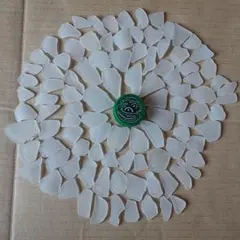 Item thumbnail for item 042bef4b-7ccd-4830-bd39-4eb363d69f22