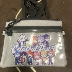 カラフルピーチ　サコッシュ　ポーチ　バッグ　ショルダーバッグ　からぴちのサムネイル